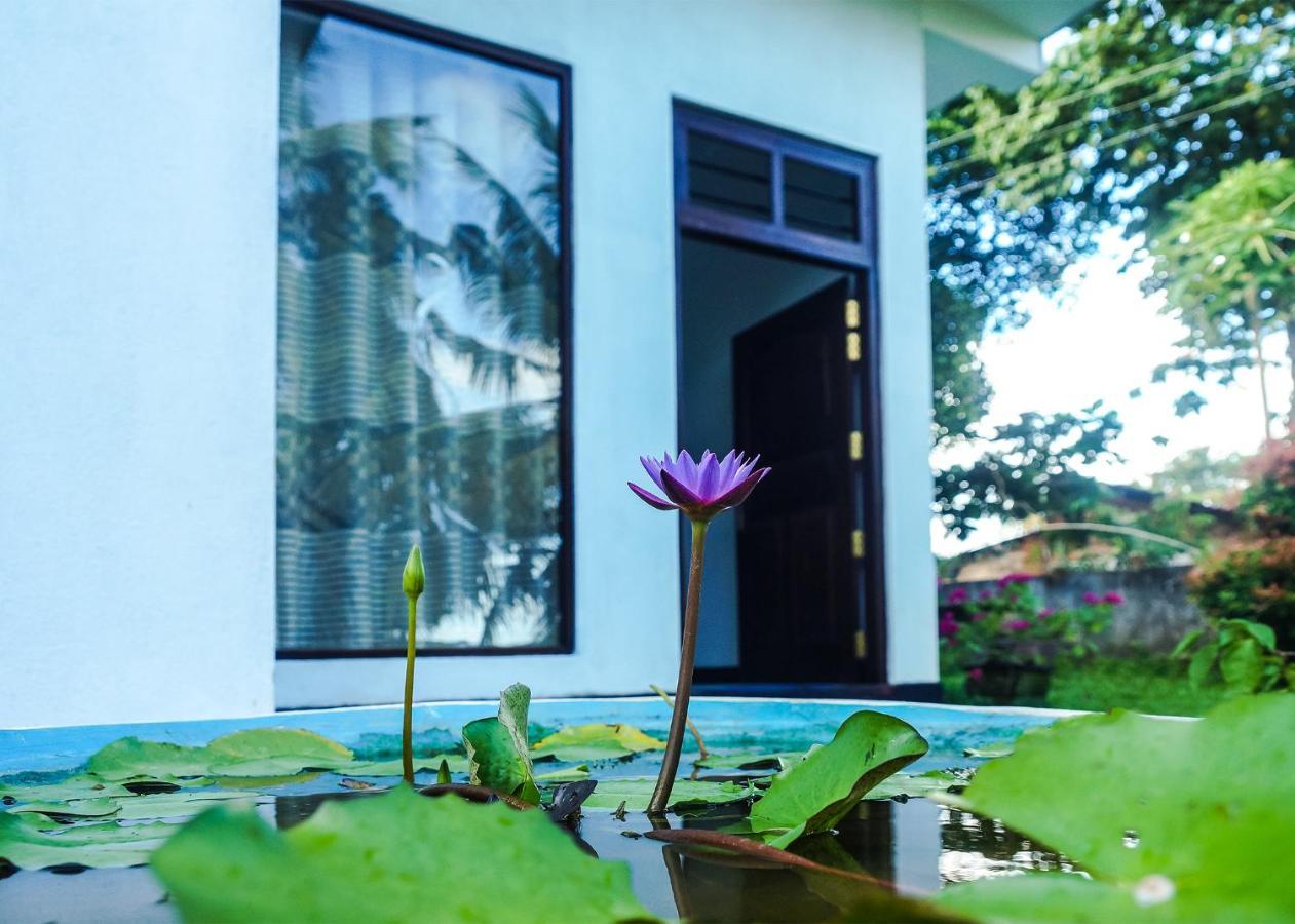Plantation Inn Weligama Exteriör bild