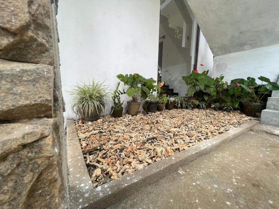 Plantation Inn Weligama Exteriör bild
